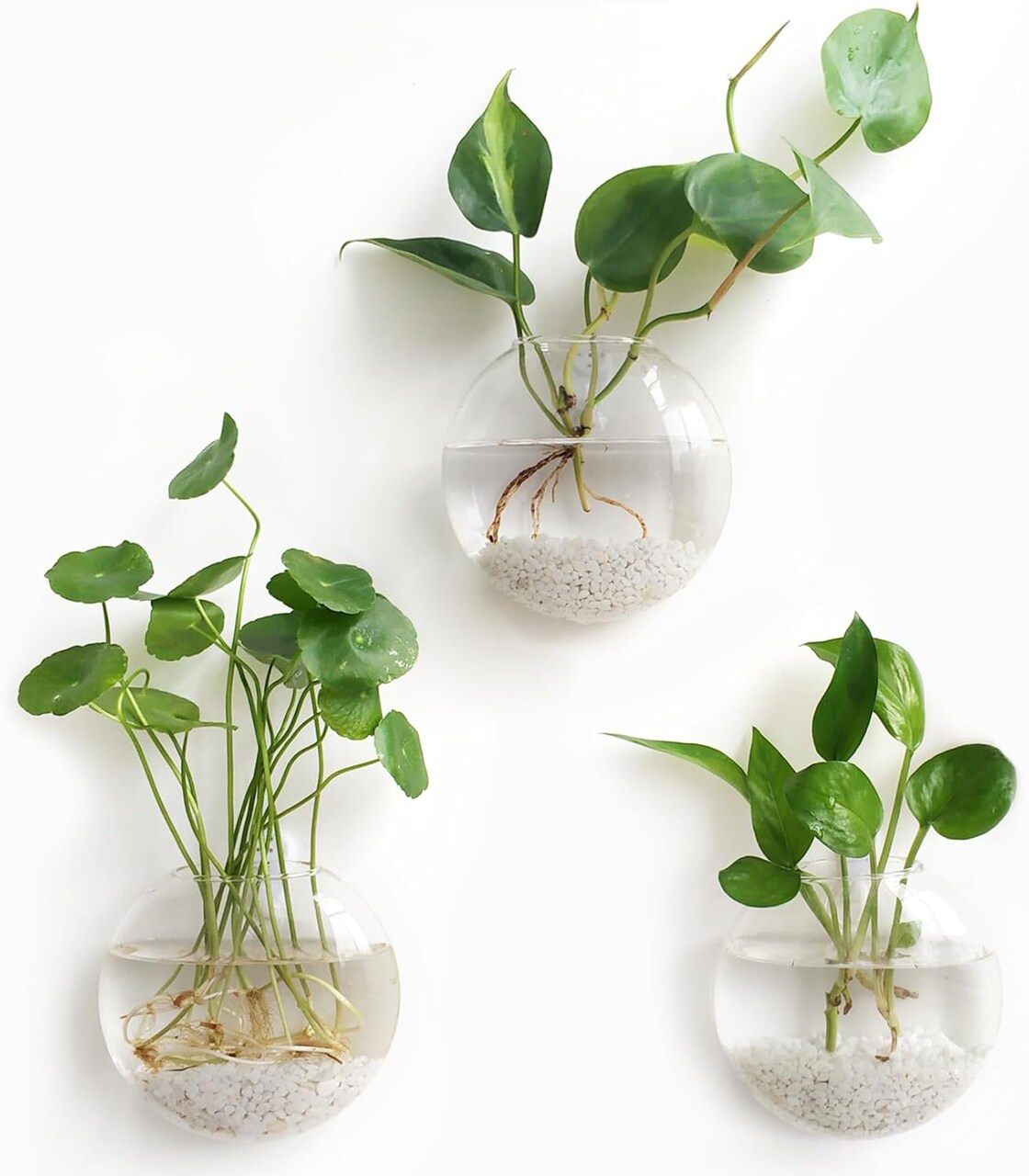 Wall Hanging Glass Terrarium Oblate Planter Vase for Hydroponics Plants